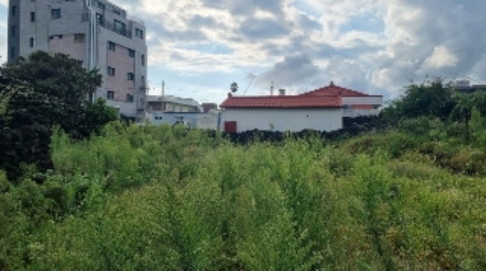 소재지3(표선리