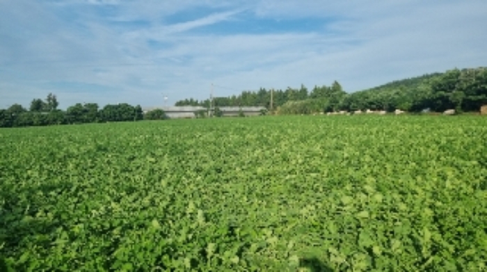 소재지1(성읍리