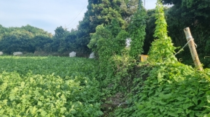 소재지5(성읍리