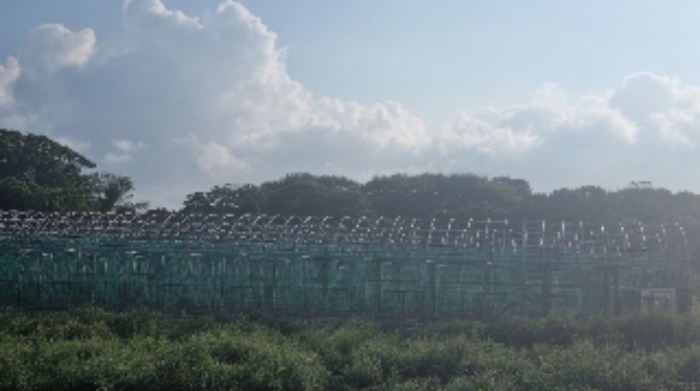 소재지1(교래리 산60-39) 전경