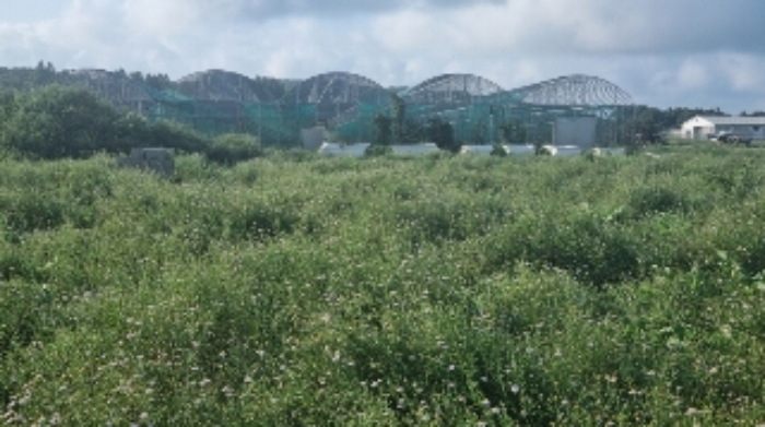 소재지2(교래리 산60-47) 전경