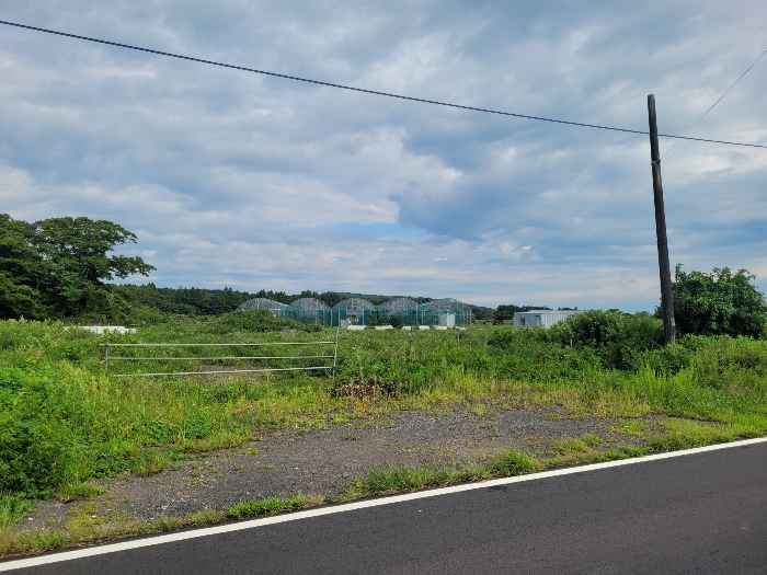 기호 (1,2) 전경
(본건 남측 촬영)