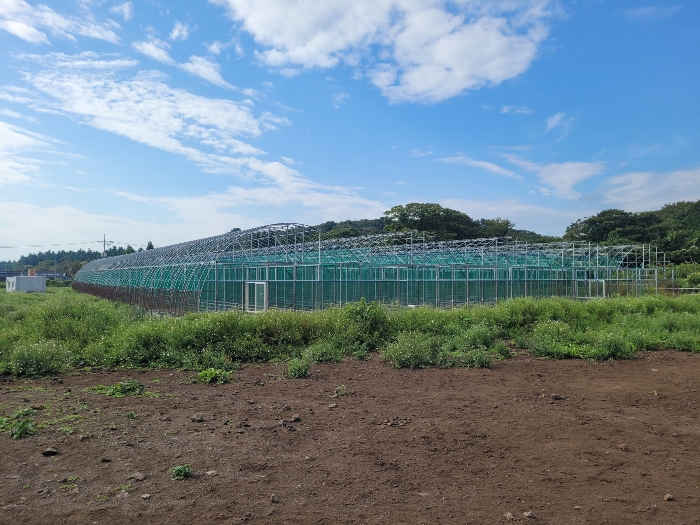 제시외물건 ㄱ)