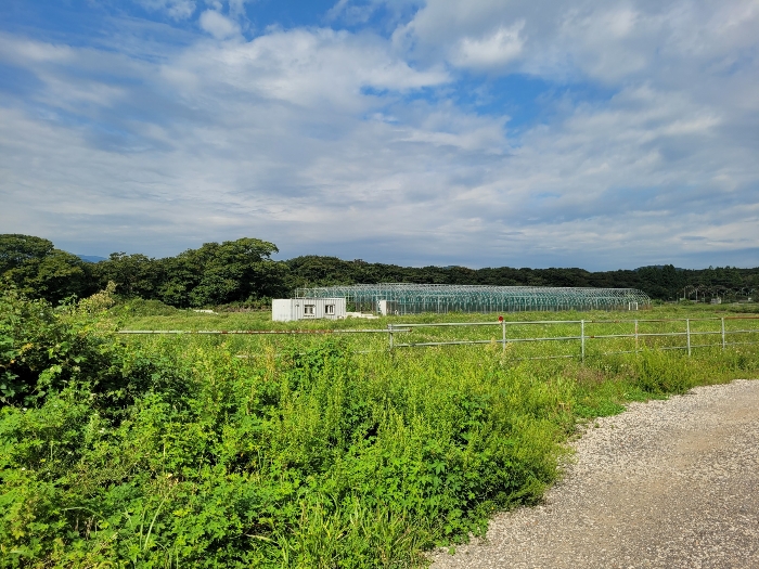 기호 (1,2) 전경
(본건 동측 촬영)