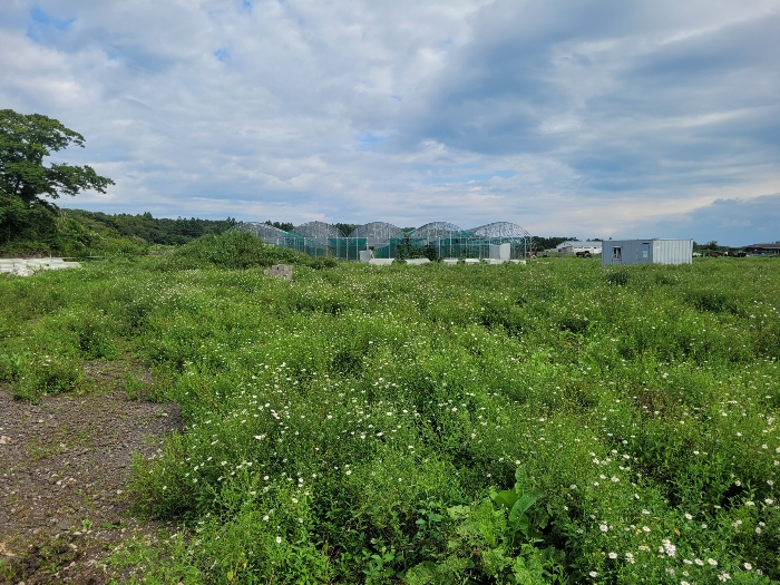 기호 (1,2) 전경
(본건 내부 촬영)