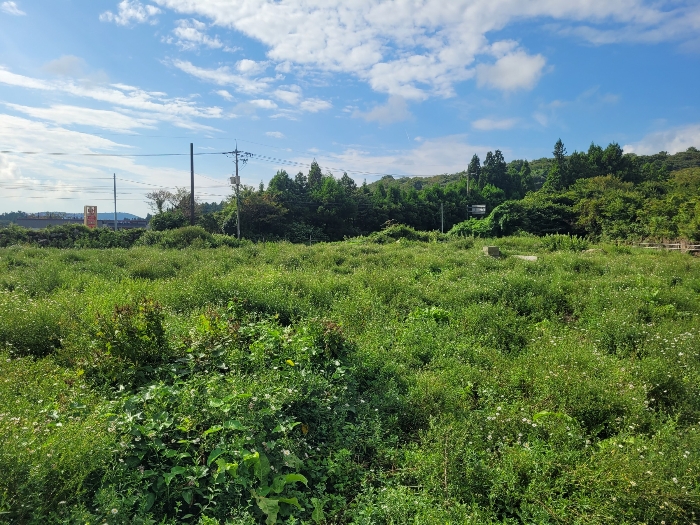 기호 (2) 전경
(본건 내부 촬영)