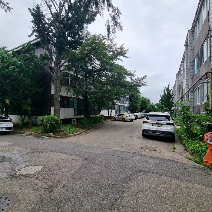 본건이 속한 건