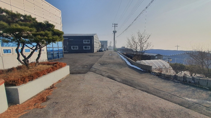 본 건  서 측  전 경