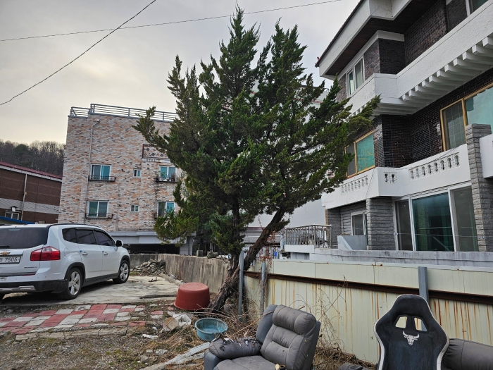 제시외수목㉤ 전