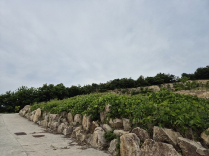 목록11~13번 전경4