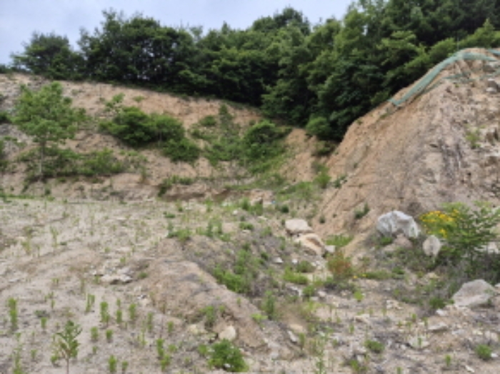 목록1~4번 전경11