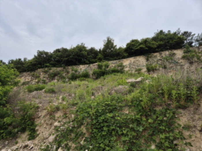 목록1~4번 전경3