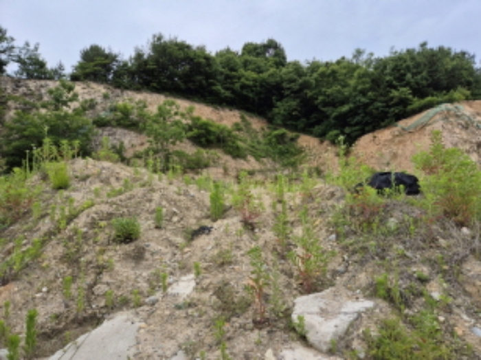 목록1~4번 전경6