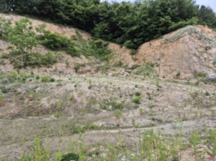 목록1~4번 전경7