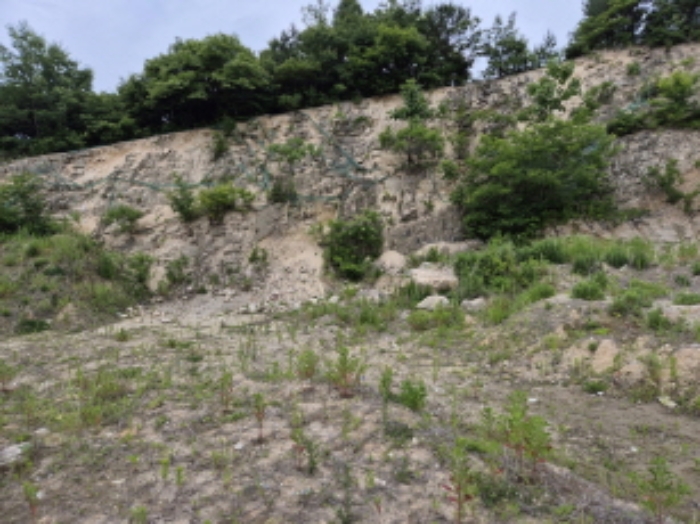 목록1~4번 전경8