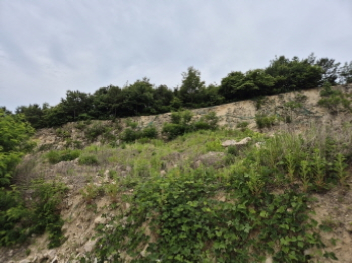 목록1~4번 전경4