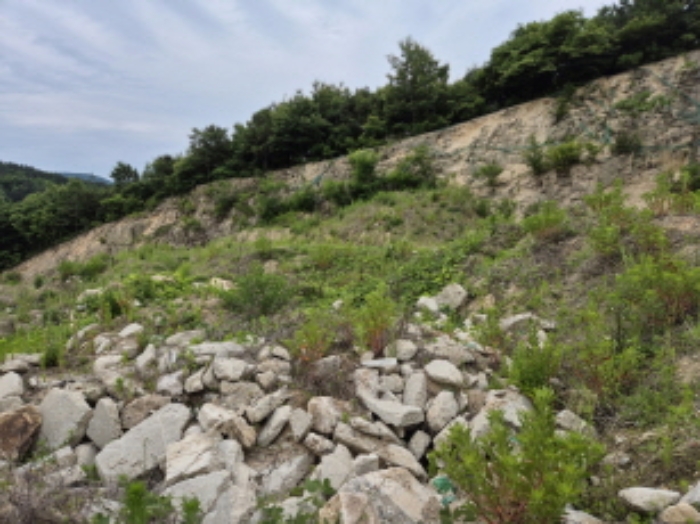 목록1~4번 전경5