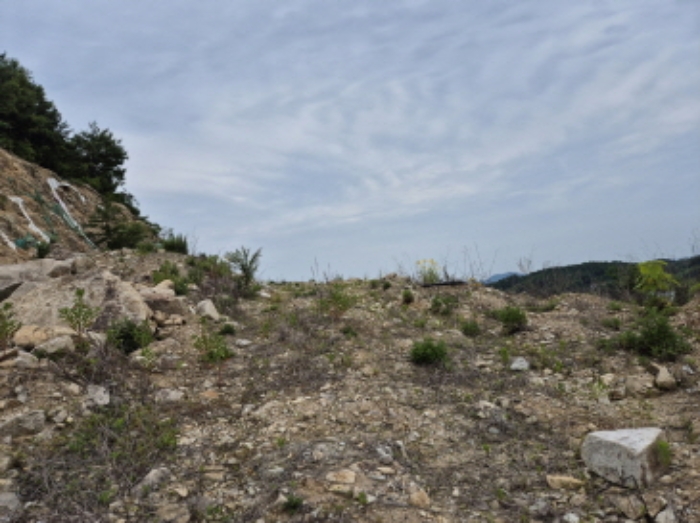 목록6~7번 전경2