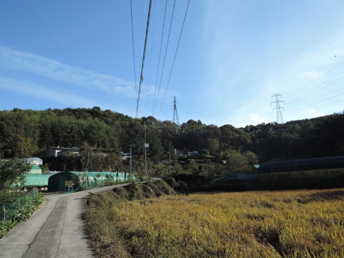 본건 전경[북서측에서 촬영]