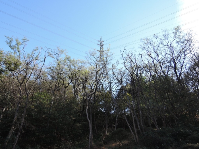 철탑 및 선하지