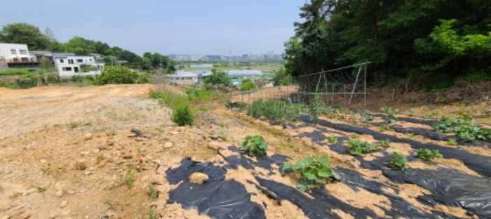 목록 6 토지 전경(1)