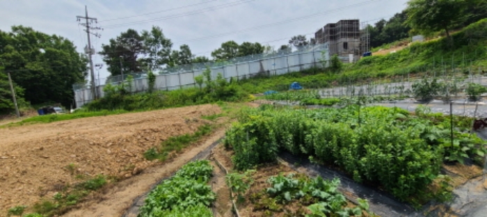 목록 7 토지 전경(1)