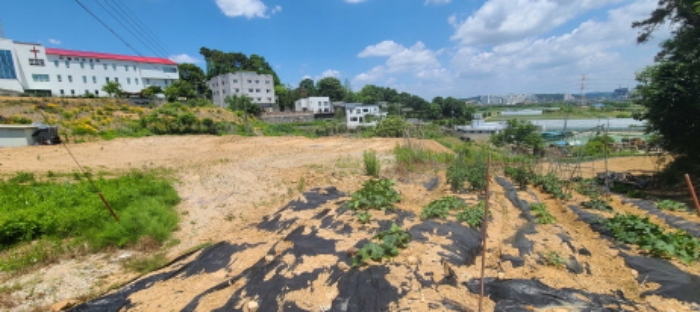 1, 2, 3, 4, 5, 6, 8, 9, 10. 토지 전경