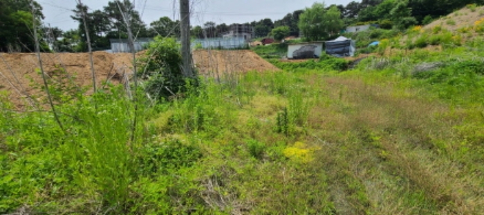 목록 2 토지 전경(1)