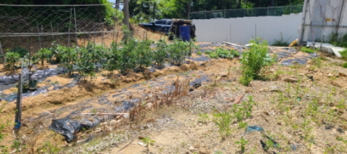 목록 9 토지 전경