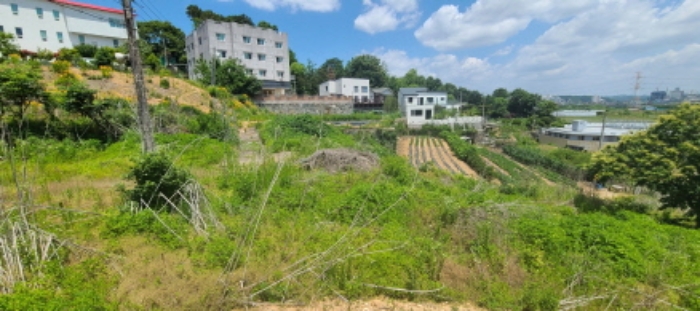 목록 3 토지 전경(2)