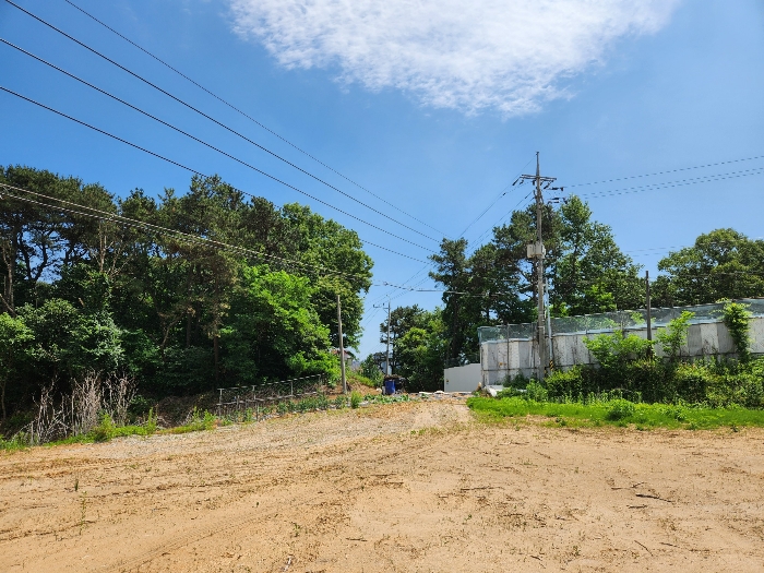 본건 통과 전선