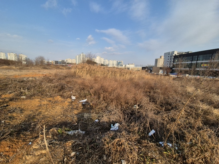 본건 전경(남서측에서 촬영)