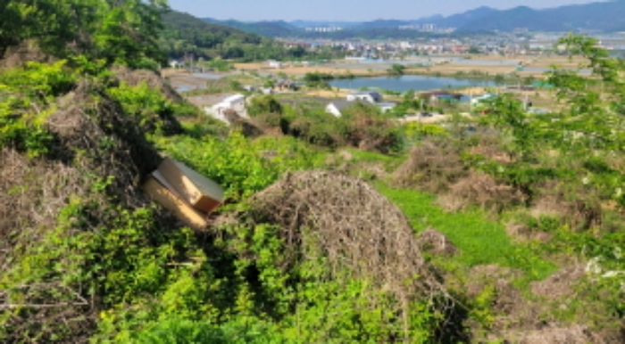 경북 칠곡군 약