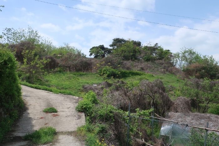 [ 기호 5) 토지 ]