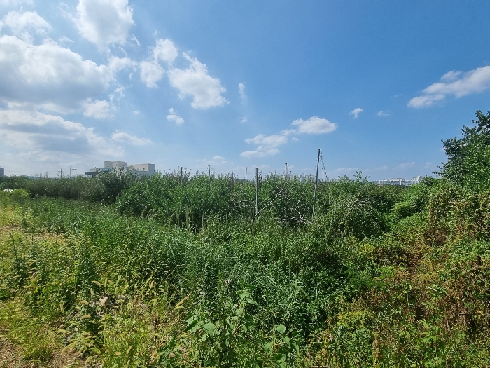 남동측에서 본 전경