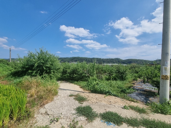 북서측에서 본 전경