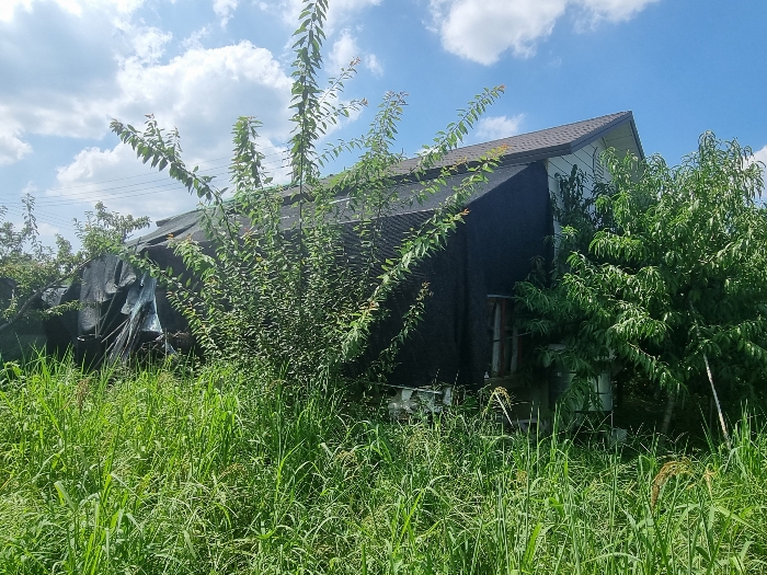 제시외건물 기호 ㄱ