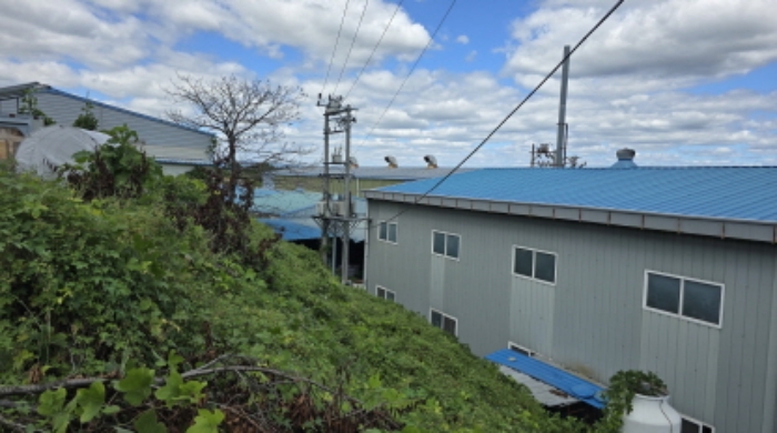 공장저당목록 수전설비의 전경
