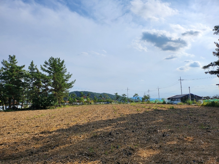 기호(1) 전경(북측에서 촬영)