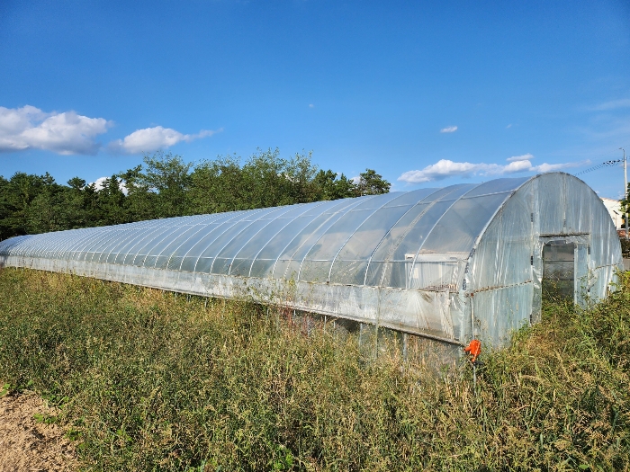 기호(1) 지상 비닐하우스 전경