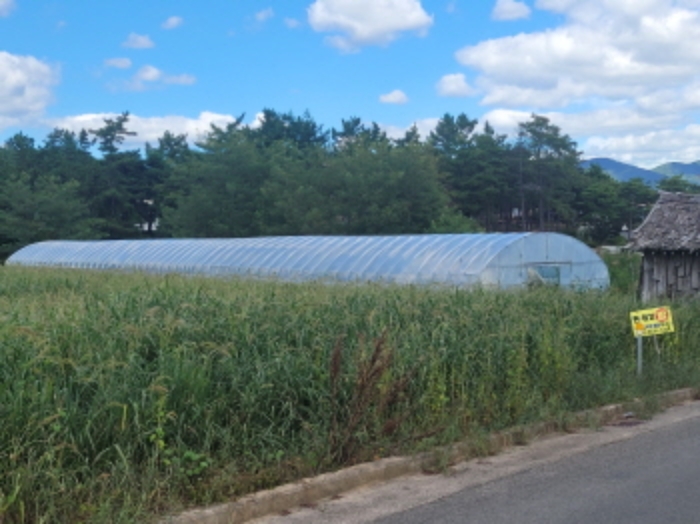 황강리 22-2
제시외 건물(비닐하우스)