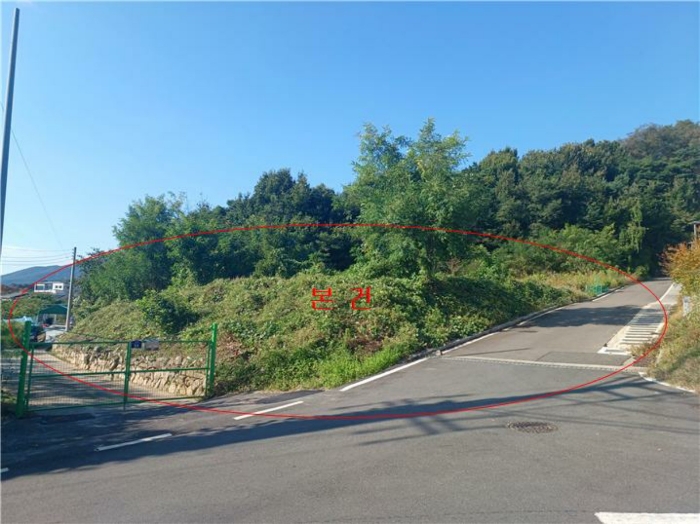 본건 전경 - 남동측 인근에서 촬영