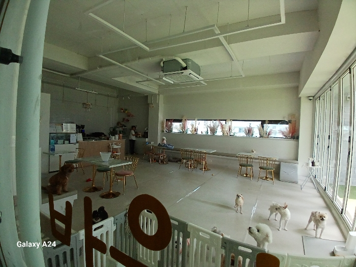 일련번호 차) 내부