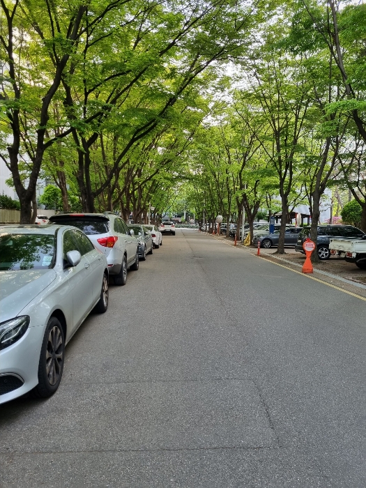 단지내 도로 현황 1