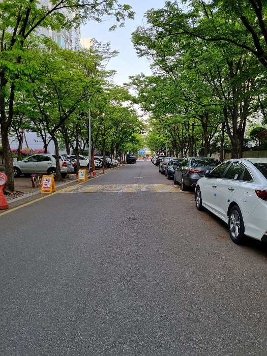 단지내 도로 현황 2