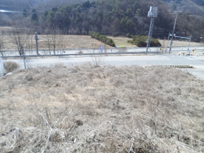 기 타(나지 부분)