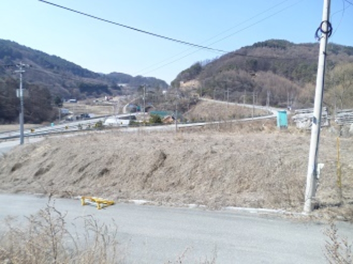 기 타(나지 부분)