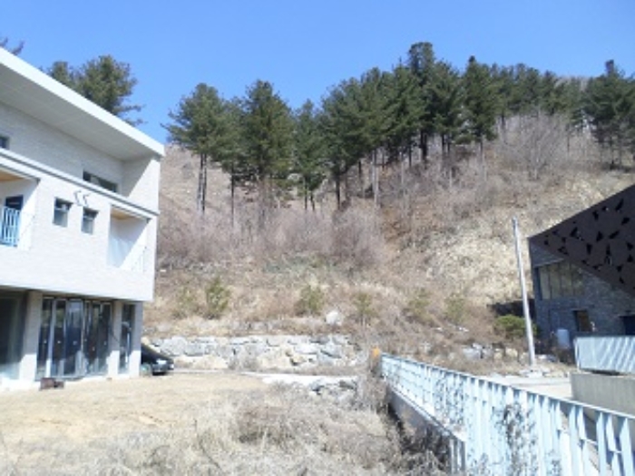 목록2 근접촬영