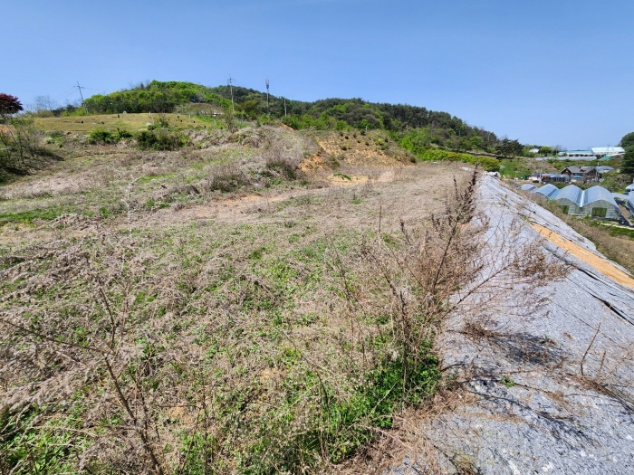 일련번호(1) 전경