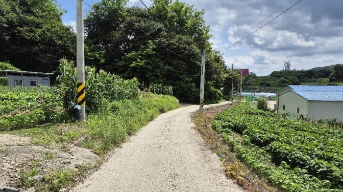 본건 인접도로 및 주위환경